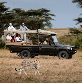 Safari vehicle with tourists viewing a leopard in Tanzania