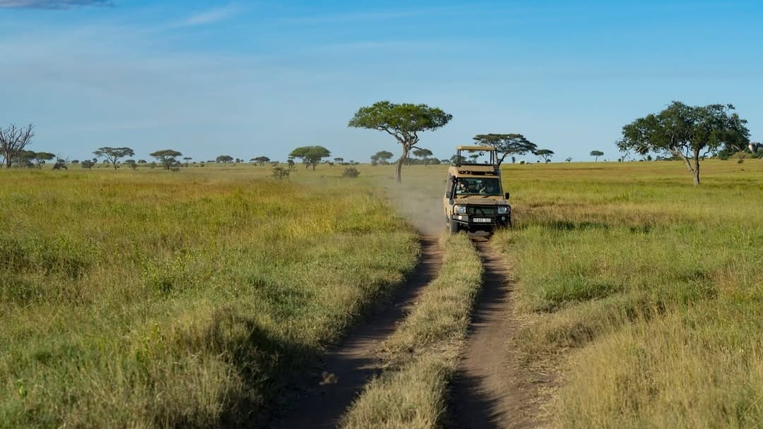 4x4 safari vehicle driving through the African savannah with wildlife in the background.