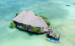 Scenic view of Zanzibar coastline with palm trees and crystal-clear waters during a tour.