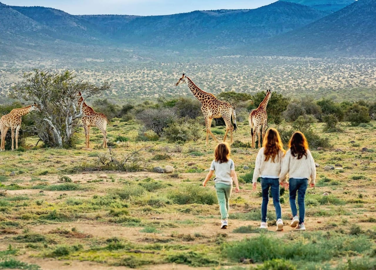 Luxury safari lodge in Serengeti National Park during Tanzania luxury safari and Tanzania wildlife safari experience with Big Five game