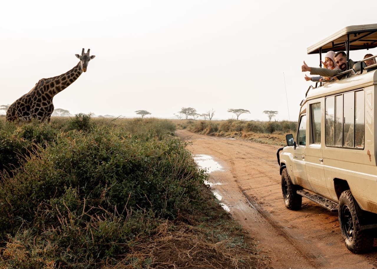 Traveler capturing wildlife photos from safari jeep during Tanzania photography safari in Serengeti National Park