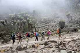 Rongai Route Kilimanjaro climbing with trekkers ascending the quiet northern slopes