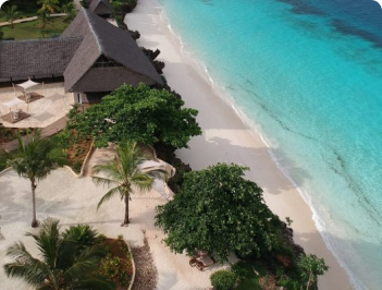 Aerial view of a luxury Zanzibar beach tour with palm trees and pristine coastline.