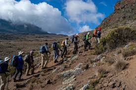 Group of trekkers ascending Mount Kilimanjaro via the Lemosho Route, passing through lush forests and alpine terrain on their way to the summit.