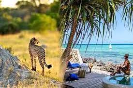 Mount Kilimanjaro trek combined with Tanzania safari and Zanzibar beach escape for a complete African adventure