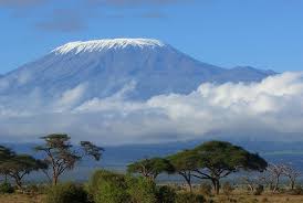 Mount Kilimanjaro summit with snow capped glaciers above lush rainforest below