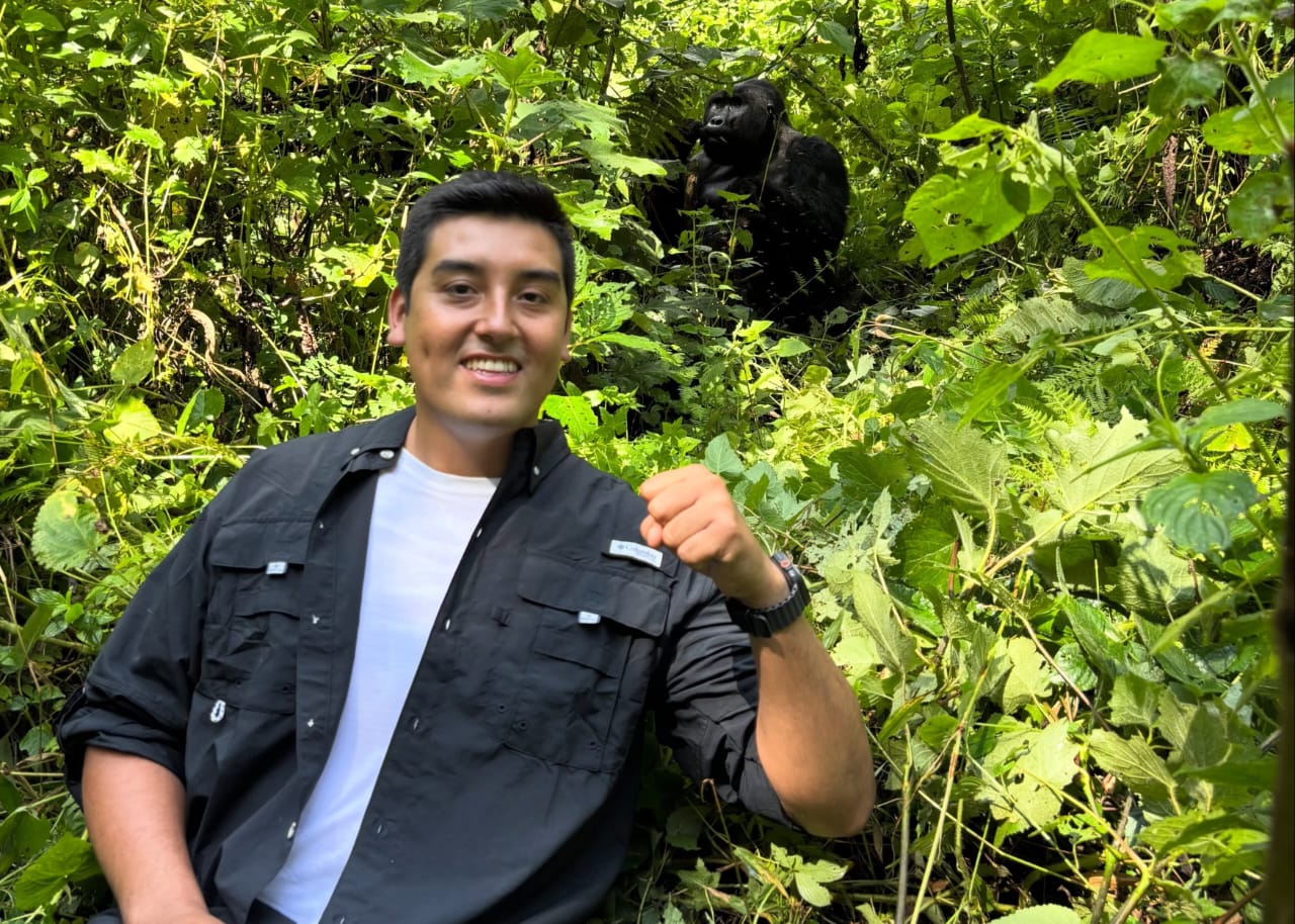 Tourist Taking a Selfie Near a Mountain Gorilla During Uganda Gorilla Trekking Safari | Uganda Wildlife Safari.