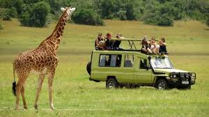Safari 4x4 vehicle with tourists enjoying game viewing in Tanzania