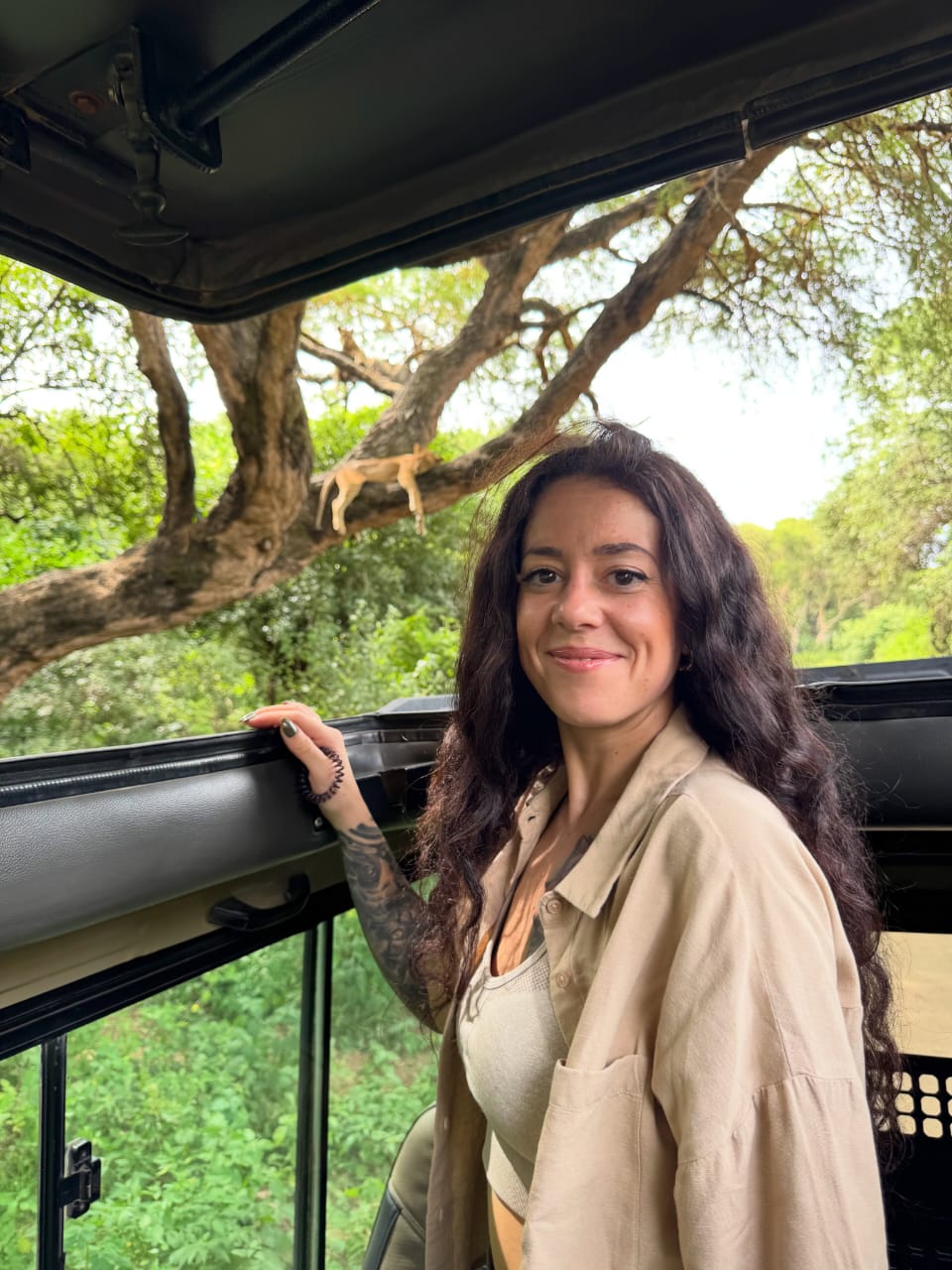Tourist watching a lion resting on a tree during a Kenya Wildlife Safari in Masai Mara