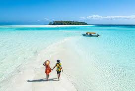 White sandy beach with turquoise waters and palm trees on Zanzibar, perfect for a tropical paradise escape.